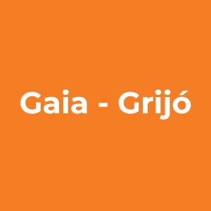 Gaia Grijó